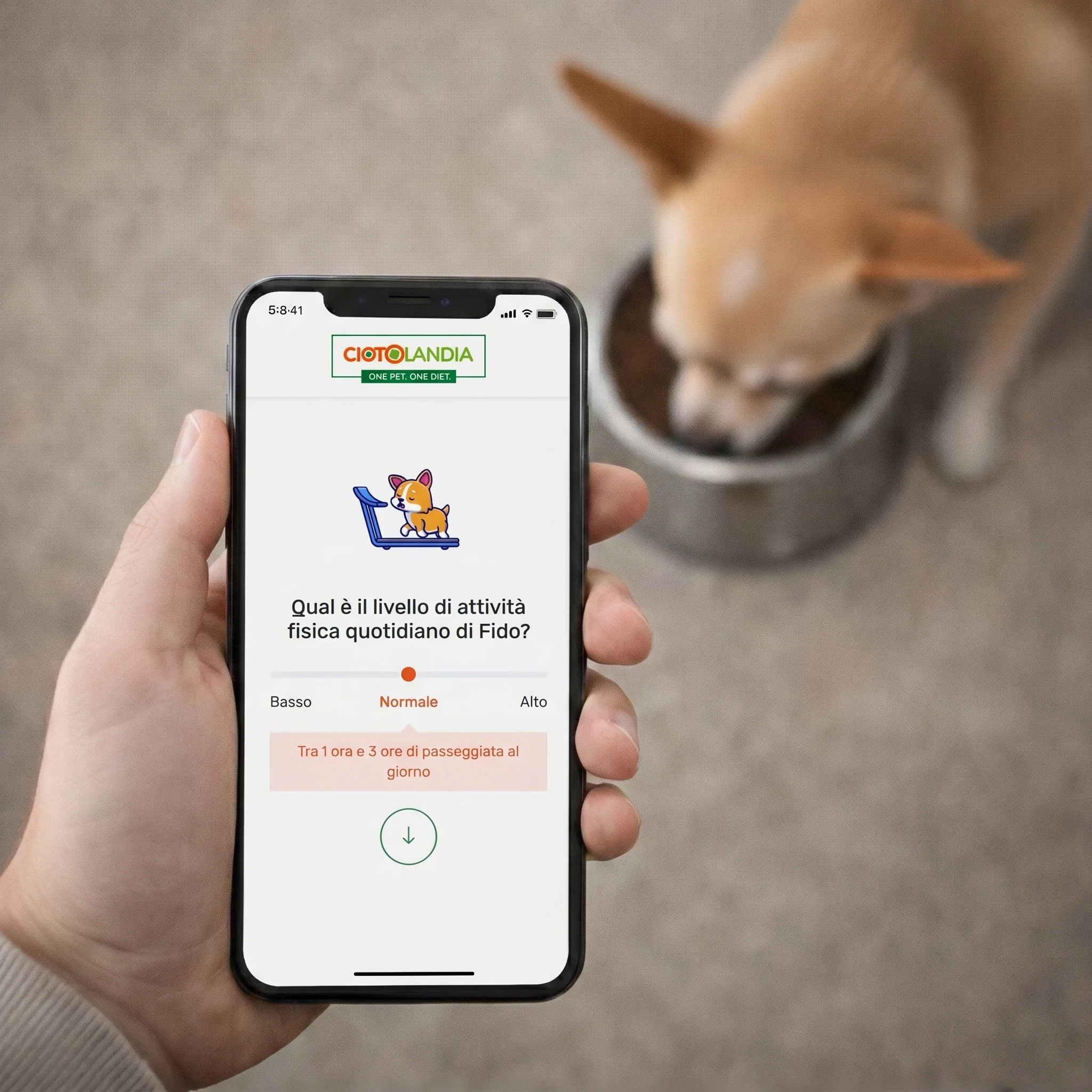 Crea il profilo del tuo cane